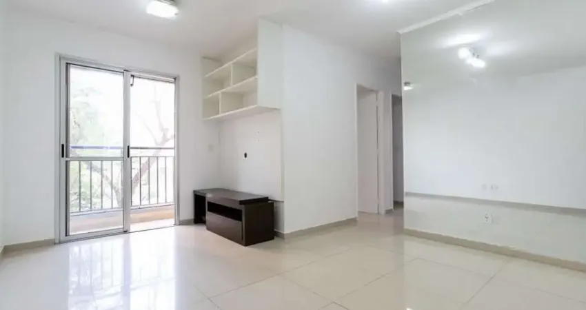 Apartamento para Aluguel - Piqueri, 3 Quartos,  58 m² - São Paulo
