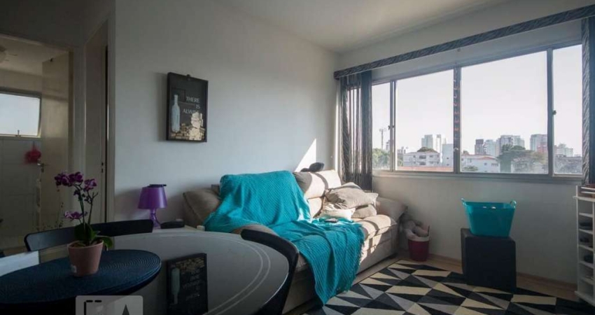 Apartamento para Aluguel - Vila Mascote, 1 Quarto,  35 m² - São Paulo