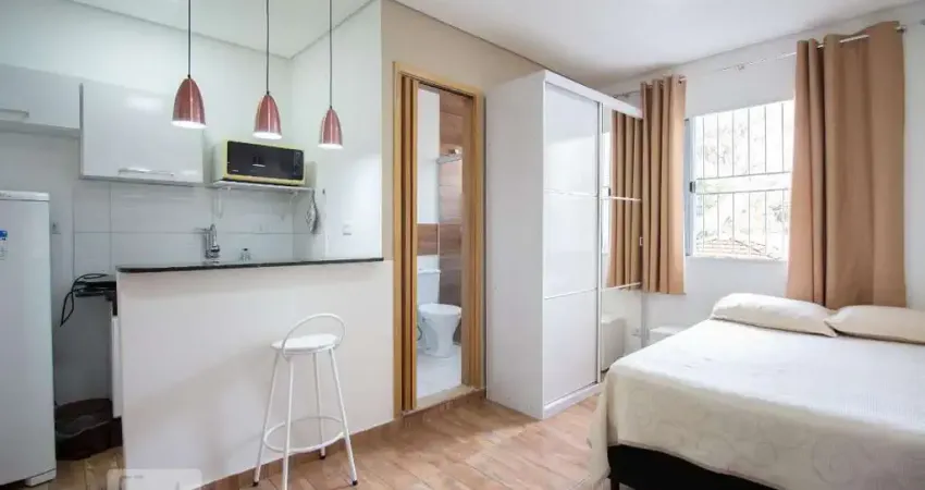 Kitnet / Stúdio para Aluguel - Vila Mascote, 1 Quarto,  23 m² - São Paulo