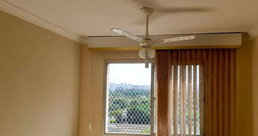 Apartamento para Aluguel - Cangaíba, 2 Quartos,  50 m² - São Paulo