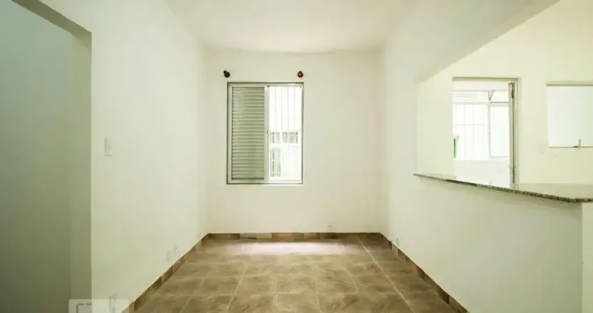 Apartamento para Aluguel - Ipiranga, 1 Quarto, 55 m² - São Paulo