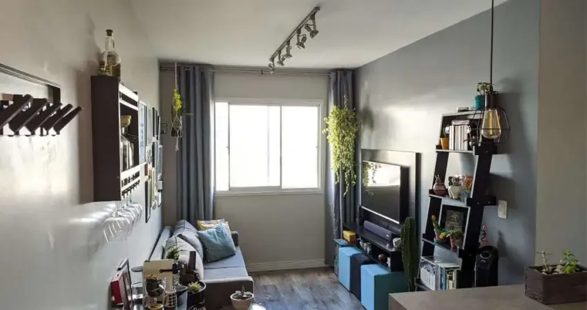 Apartamento para Aluguel - Cambuci, 2 Quartos, 46 m² - São Paulo