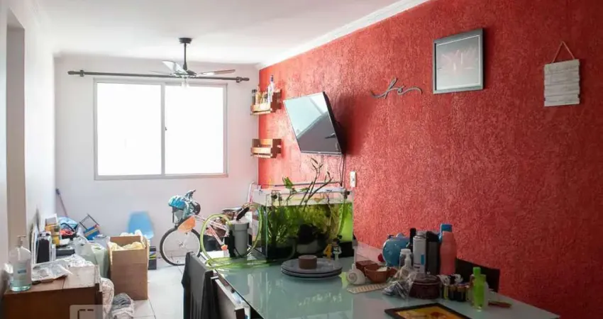 Apartamento para Aluguel - Piqueri, 2 Quartos, 58 m² - São Paulo