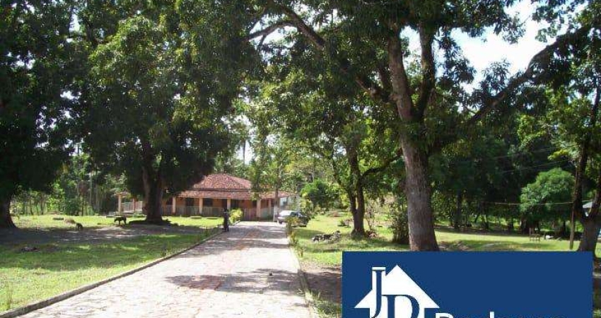Fazenda à venda no Centro, Maragogipe 