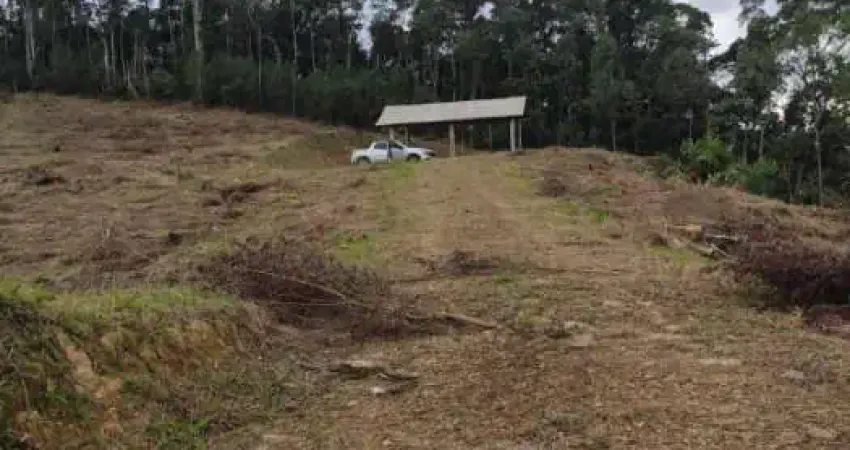 Terreno à venda na Estr Geral Barro Branco, 99, Barro Branco, São Pedro de Alcântara