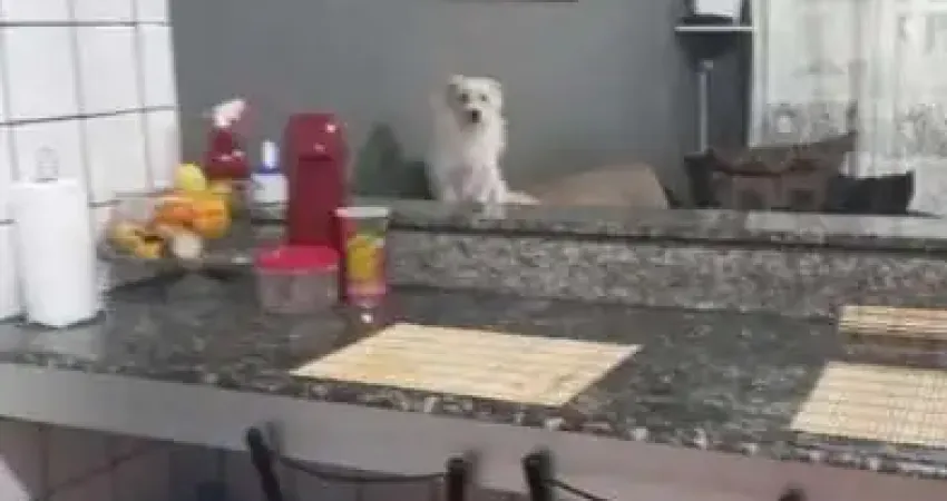 Casa em condomínio fechado com 2 quartos à venda na Rua José Antônio Pereira, 2081, Potecas, São José