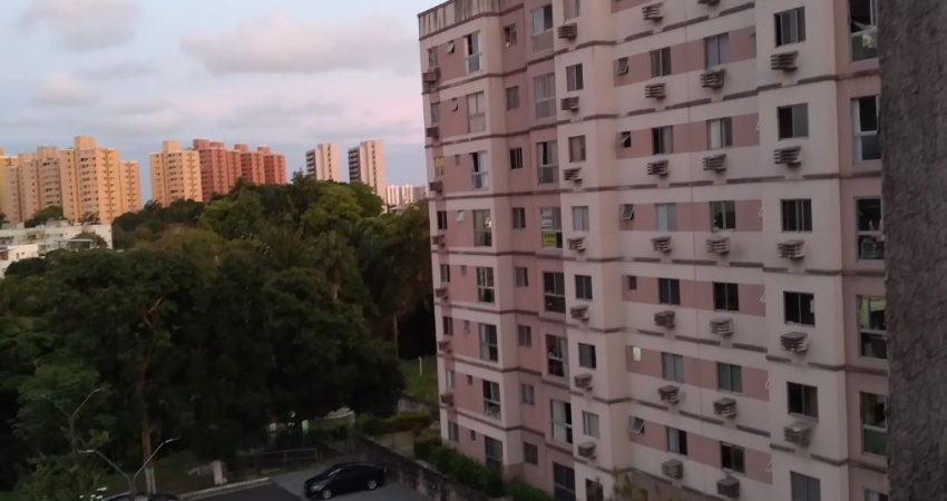 Apartamento 2 Quartos, Elevador Extensa Área Verde