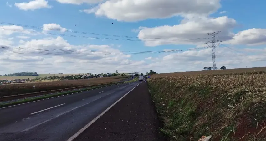 Chácara / sítio à venda na Avenida Getúlio Vargas, Zona Rural, Floresta