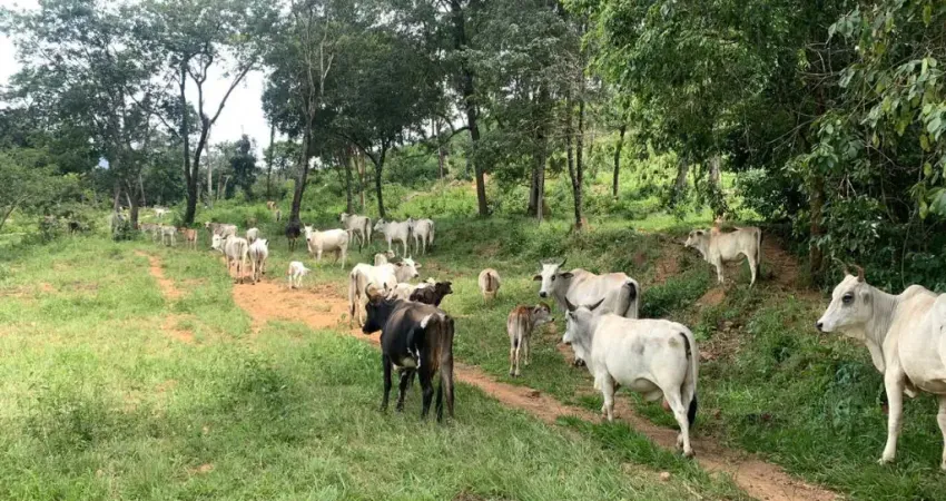 Fazenda 102 hectares no DF região fercal