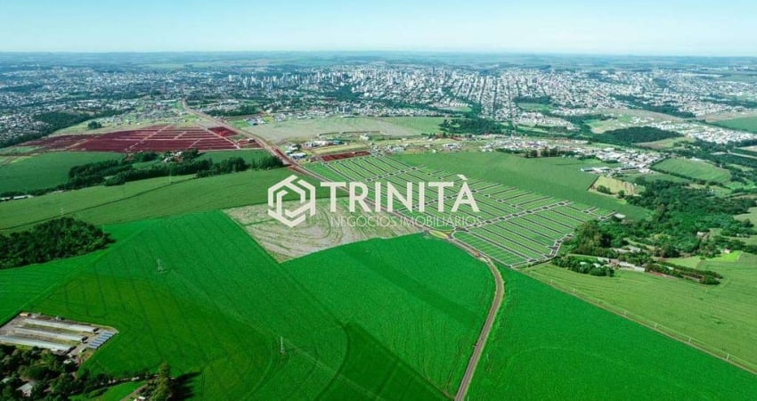 Terrenos residenciais a partir de 150 m² | Loteamento Alta Vista