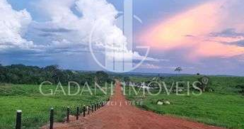 Fazenda à venda na FAZENDA PARAISO, 1, Zona Rural, Nova Santa Helena