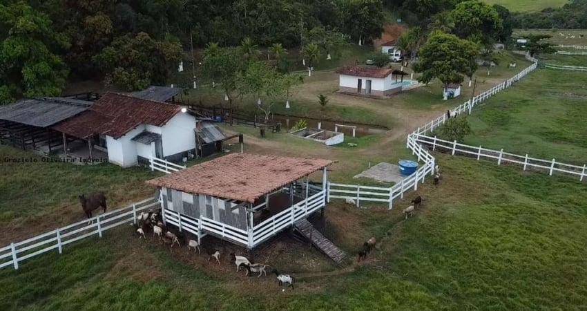 FAZENDA CACHOEIRA DE MACACU