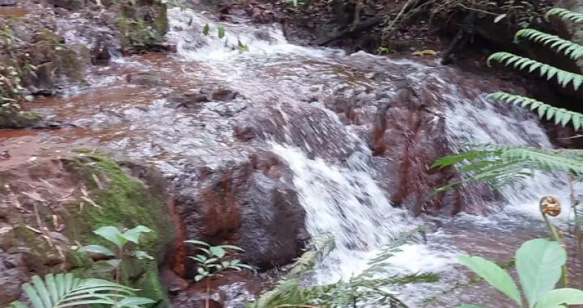 Chácara / sítio com 2 quartos à venda na Rua Irineu Alves Rabelo, 11111, Zona Rural, Indianópolis