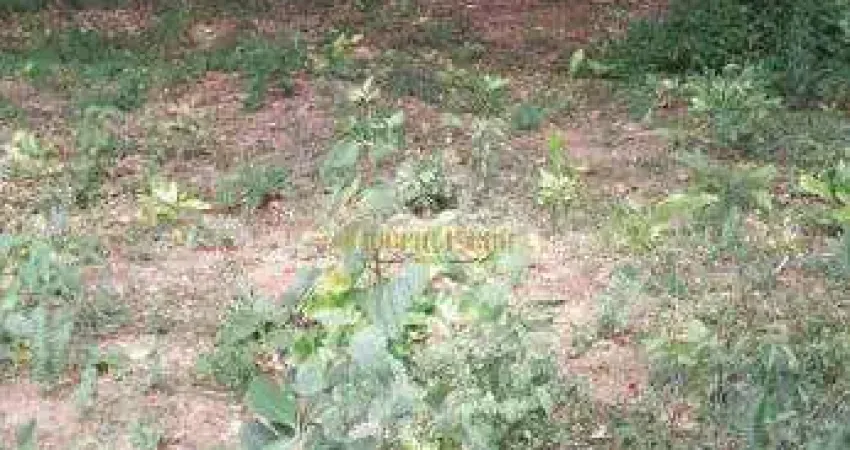 Chácara de 5.180.00 m²`a venda em Biritiba Mirim-SP