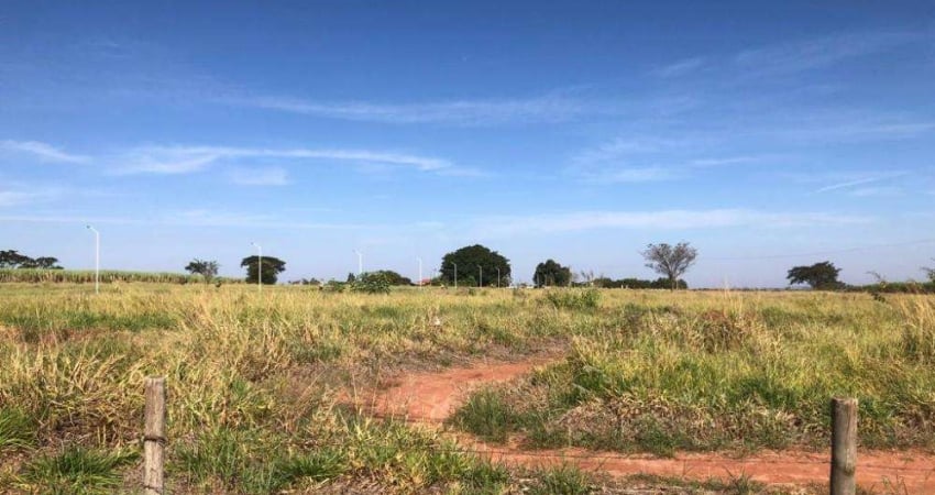 Área de 13,5 Alqueires a venda por R$6.000.000