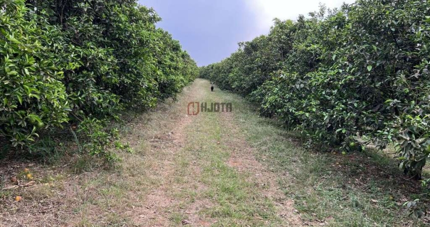Sítio com 4,67 hectares à venda - Zona Rural de Bady Bassitt