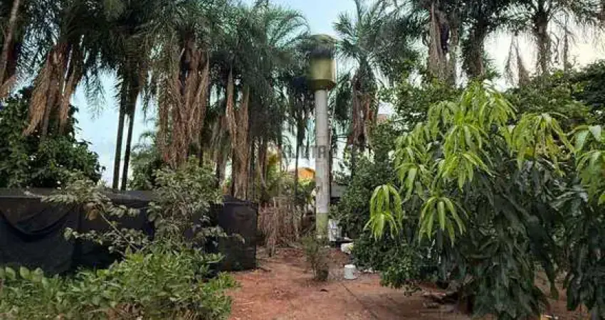 Chácara / sítio com 3 quartos à venda na Rua Sebastião da Silva Costa, 116, Centro, Cedral