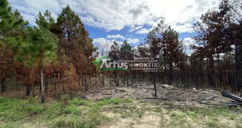 Terreno à venda no Nova Tramandaí, Tramandaí 