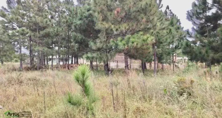 Terreno à venda no Nova Tramandaí, Tramandaí 