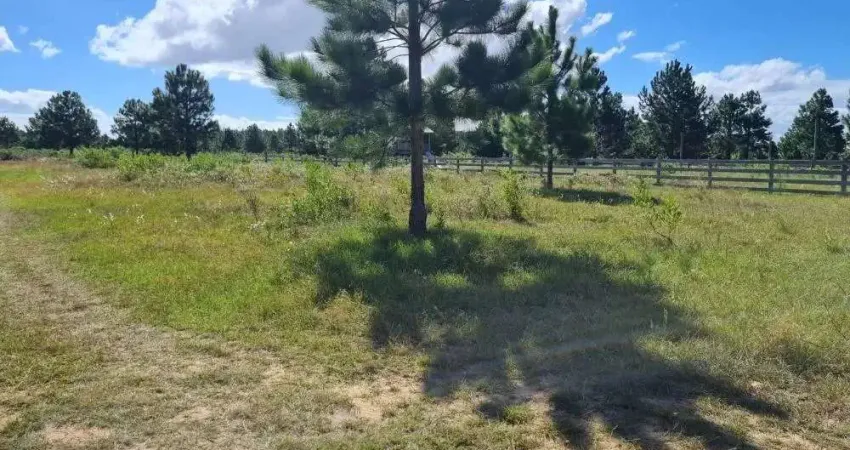 Chácara / sítio à venda na Estância Velha, Tramandaí