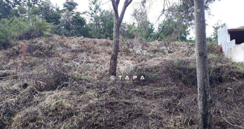 Terreno à venda, 488 m² por R$ 250.000,00 - Parque Res Itaguacu - Atibaia/SP