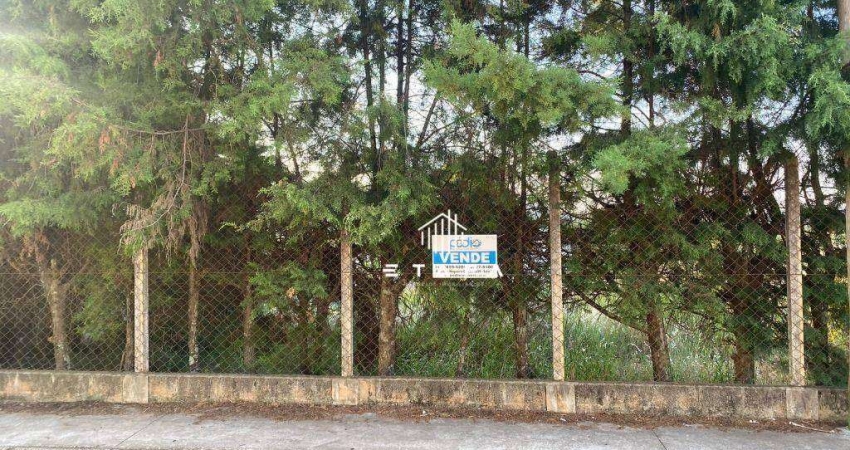 Terreno à venda, 404 m² por R$ 303.000,00 - Vila Santa Helena - Atibaia/SP