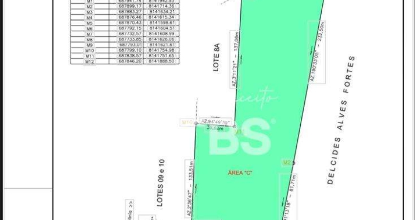 EXCELENTE AREA COMERCIAL AS MARGENS DA BR 153 - IDEAL PARA GALPOES , EMPRESAS DE LOGISTICA