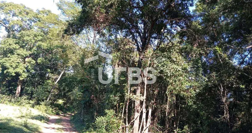 Oportunidade de chacará com mata exuberante