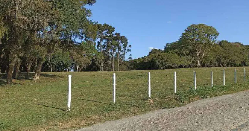 Chácara / sítio à venda na Rua Nestor Negoseki,, 4000, Campina do Taquaral, São José dos Pinhais
