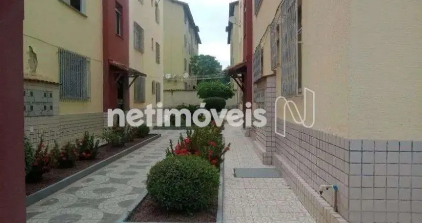 Venda Apartamento 3 quartos Glória Contagem
