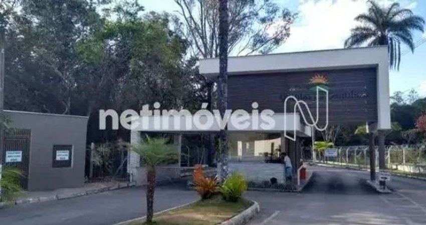 Venda Chácara Gentileza Betim