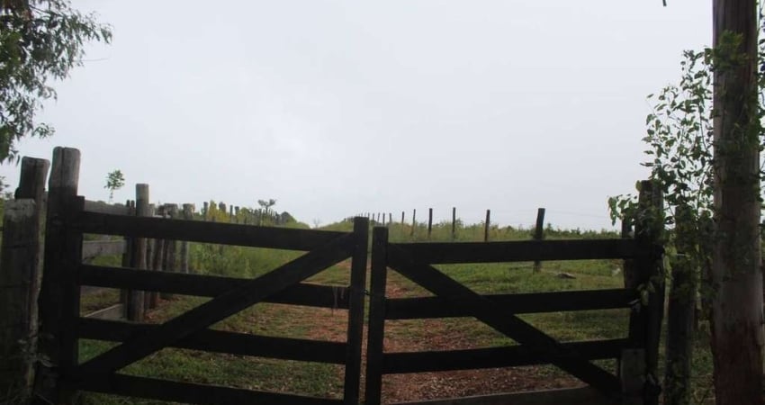 Fazenda em Miranda com 231ha