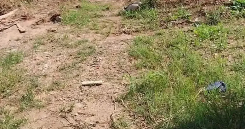 Terreno comercial para alugar no Jardim Novo Portugal, Guarulhos 