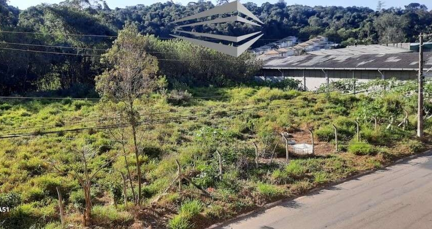 Terreno comercial à venda na Rua São Vicente, 1, Parque Rincão, Cotia