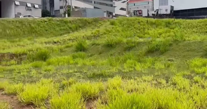 Terreno comercial à venda na Rua Santa Mônica, 11, Parque Industrial San José, Cotia
