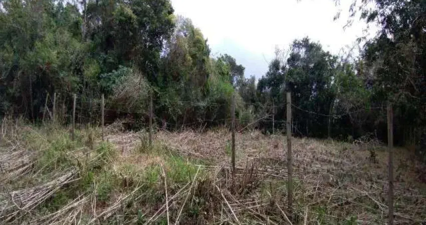 TERRENO ESCRITURADO, SEM ÁRVORES NO JARAGUÁ, SÃO SEBASTIÃO/SP