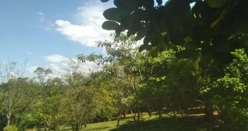 Chácara / sítio com 1 quarto à venda na Praça Maria Celeste de Souza, 1, Limoeiro, Londrina