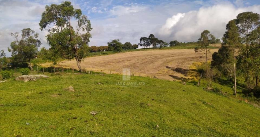 Chácara / sítio com 1 quarto à venda na 1, 1, Centro, Jaguapitã