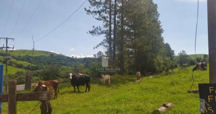 Sitio em Sertanopolis