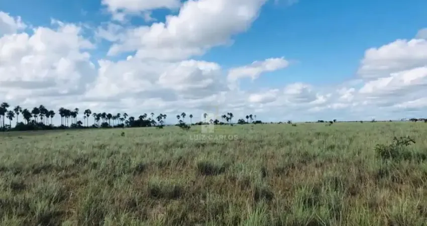 Fazenda Boa Vista Roraima