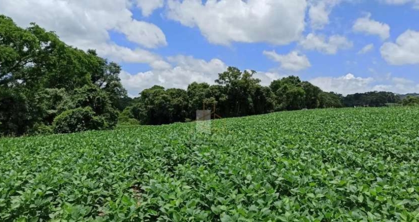 Fazenda em Faxinal