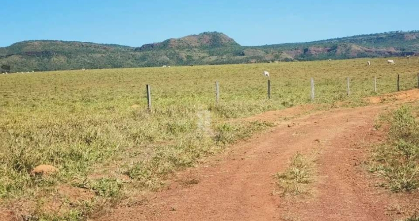 Fazenda na região de Novo São Joaquim MT