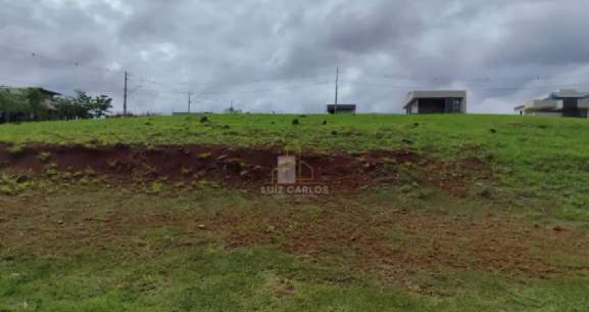 Terreno Parque Taua Araguari