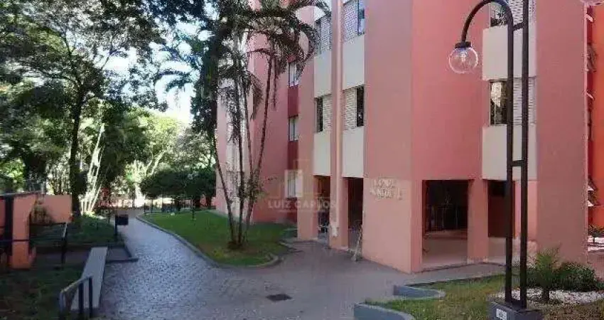 Apartamento com 3 quartos à venda na Rua Santiago, 99, Guanabara, Londrina