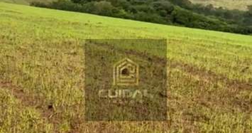 Chácara / sítio com 1 quarto à venda na rua 1, 1, Centro, Ribeirão do Pinhal