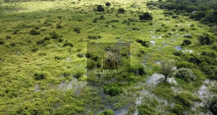 Chácara / sítio com 21 quartos à venda no Centro, Barão de Melgaço 