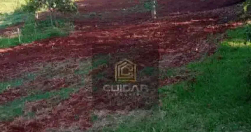 Chácara / sítio com 2 quartos à venda no Centro, Ibiporã