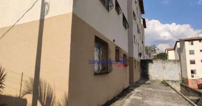 Apartamento Residencial à venda, Vila Verde, Betim - AP0389.