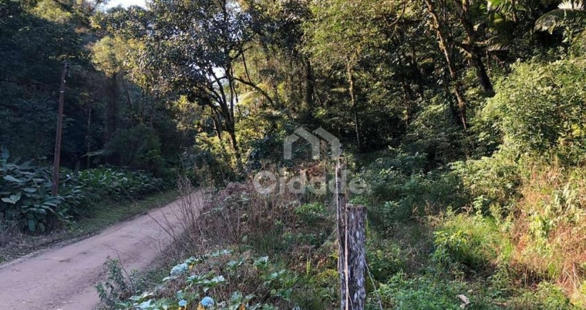 Chácara à venda, 25002 m² por R$ 425.000,00 - Santa Luzia - Jaraguá do Sul/SC