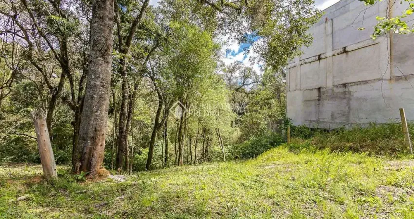 Terreno à venda na Rua José Benedito Cottolengo, 439, Campo Comprido, Curitiba